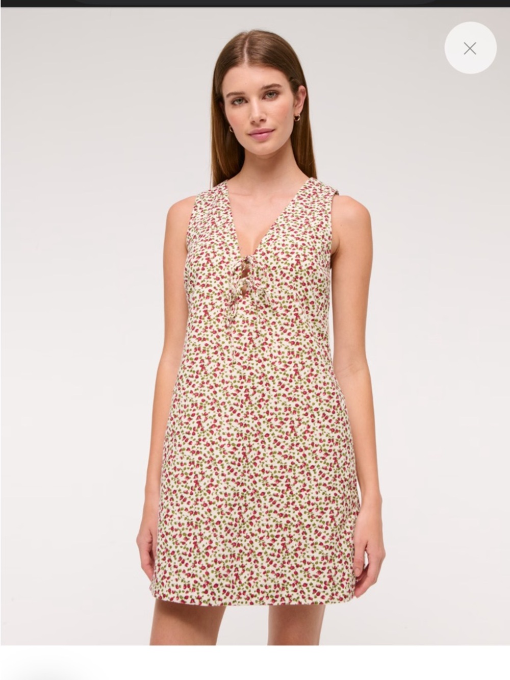 Abercrombie & Fitch Strawberry Mini Dress